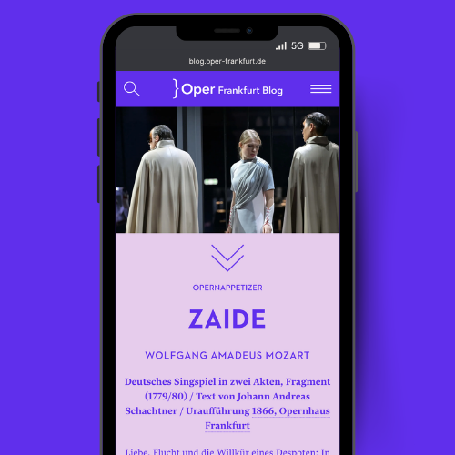 Zaide auf dem Blog