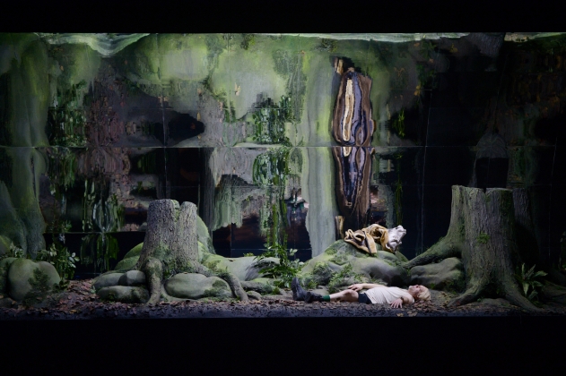 (<em>Secret Kingdom</em>) Davide Damiani (King) 