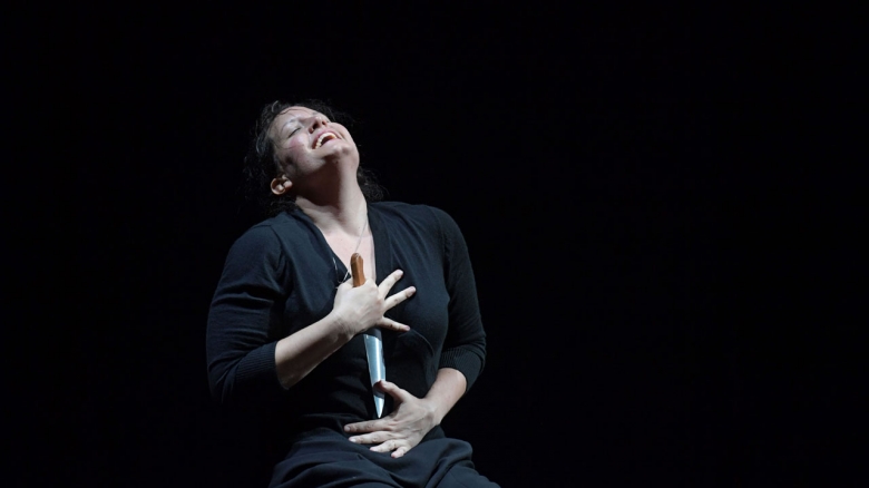 Elza van den Heever (Norma)